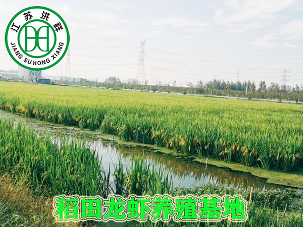 導向標識標牌
