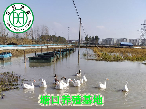 不銹鋼樹脂字